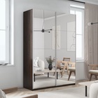 Шкаф-купе «Прайм», 1200×570×2300 мм, 2-х дверный, зеркало, цвет венге - Фото 1