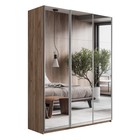 Шкаф-купе «Прайм», 2100×570×2300 мм, 3-х дверный, зеркало, цвет дуб табачный - Фото 1