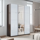 Шкаф-купе «Прайм», 2100×570×2300 мм, 3-х дверный, 2 белых стекла / зеркало, цвет венге - Фото 1