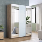 Шкаф-купе «Прайм», 2100×570×2300 мм, 3-х дверный, 2 зеркала / белое стекло, цвет сонома - Фото 1