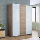 Шкаф-купе «Прайм», 1800×570×2300 мм, 3-х дверный, 2 белых стекла / лдсп, цвет сонома - Фото 1