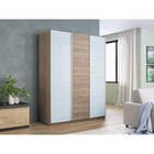 Шкаф – купе «Прайм», 3 двери, с стеклом, 2100×570×2300 мм, цвет белый/сонома - Фото 1