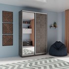 Шкаф купе двухдверный «Экспресс», с зеркалом, 1200×440×2200 мм, ЛДСП, цвет бетон - Фото 1