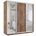 Шкаф купе «Экспресс», 2400×600×2200 мм, 3-х дверный, 2 зеркала / ЛДСП, цвет дуб табачный - Фото 1