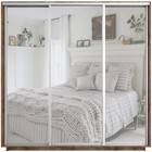 Шкаф-купе трёхдверный «Экспресс», с зеркалом, 2100×600×2200 мм, цвет дуб табачный - Фото 2