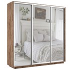 Шкаф купе «Экспресс», 2400×600×2400 мм, 3-х дверный, зеркало, цвет дуб табачный - Фото 1