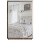 Шкаф купе двухдверный «Экспресс», с зеркалом, 1200×440×2200 мм, цвет дуб табачный - Фото 2