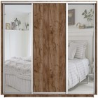 Шкаф купе «Экспресс», 2100×440×2200 мм, 3-х дверный, 2 зеркала / ЛДСП, цвет дуб табачный - Фото 2