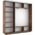 Шкаф купе трёхдверный «Экспресс», с зеркалом, 1800×440×2200 мм, цвет дуб табачный - Фото 3