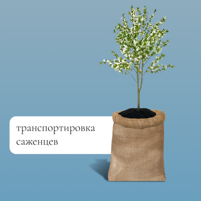 Мешок джутовый, 57×90 см, плотность 32×32 нитей, без завязок, Greengo