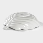 Салатник Magistro «Лист Бланш», 800 мл, 24.5×20.5 см, фарфор, цвет белый - Фото 4