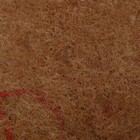 Набор для выращивания микрозелени: семена Кориандр, лоток, джутовый коврик - фото 25351054