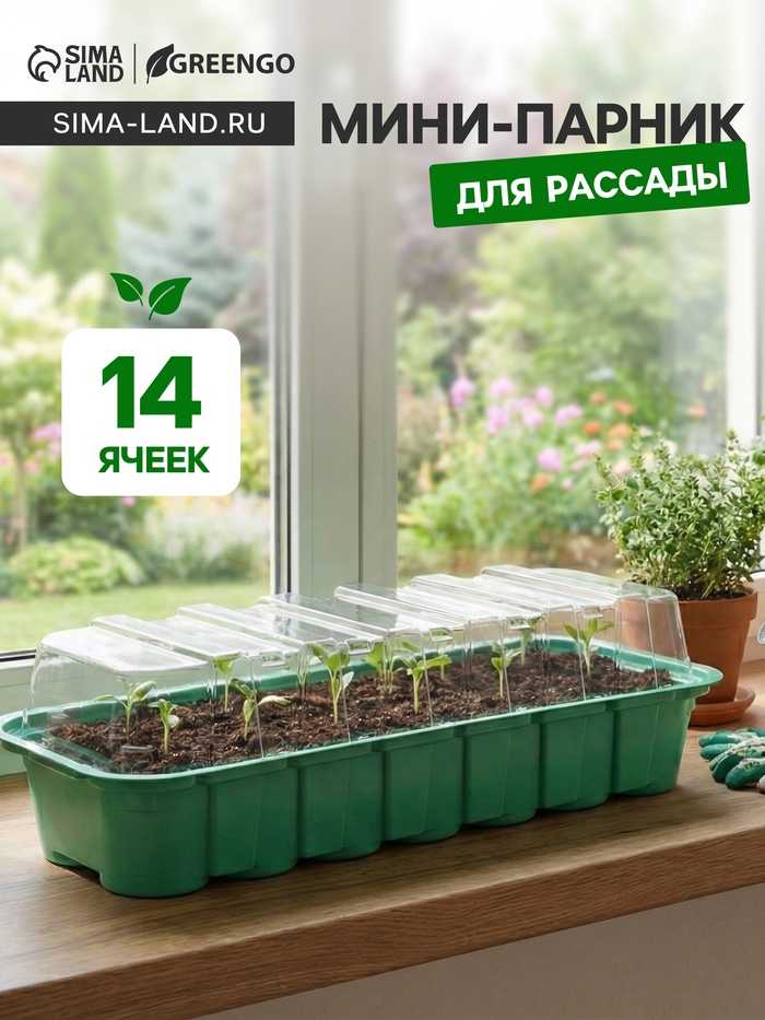 Мини - парник для рассады, 35×13×11 см, 14 ячеек под таблетки для рассады d=4 см, пластик, Greengo - Фото 1