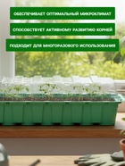 Мини - парник для рассады, 35×13×11 см, 14 ячеек под таблетки для рассады d=4 см, пластик, Greengo - Фото 3