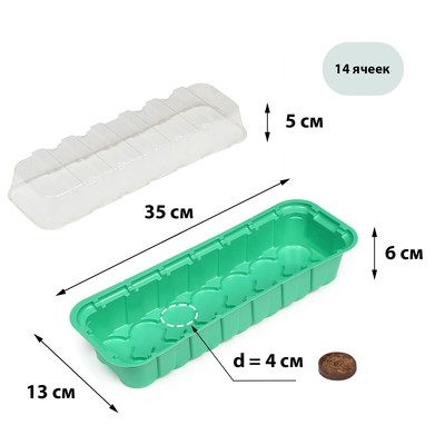 Мини-парник для рассады, 35 × 13 × 11 см, вставки (14 шт.) под таблетки для рассады d = 4 см