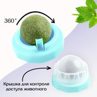 Игрушка для кошек из кошачьей мяты «Вращающийся шарик» на основании, 5×4 см, голубая - Фото 2