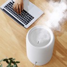 Увлажнитель воздуха Deerma Humidifier DEM-F800, ультразвуковой, 25 Вт, до 30 м2, 300мл/ч, 5л 9446833 - фото 56498