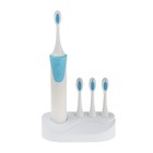 Электрическая зубная щётка Luazon LP-009, вибрационная, 8500 дв/мин, 4 насадки, 2хАА, синяя - фото 7689352