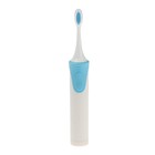 Электрическая зубная щётка Luazon LP-009, вибрационная, 8500 дв/мин, 4 насадки, 2хАА, синяя - фото 7689353