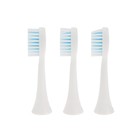 Электрическая зубная щётка Luazon LP-009, вибрационная, 8500 дв/мин, 4 насадки, 2хАА, синяя - фото 7689358