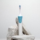 Электрическая зубная щётка Luazon LP-009, вибрационная, 8500 дв/мин, 4 насадки, 2хАА, синяя - фото 321018375