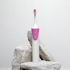 Электрическая зубная щётка Luazon LP-009, вибрационная, 8500 дв/мин, 4 насадки, 2хАА,розовая - фото 10247993