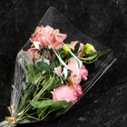 Пакет для цветов, конус, 7+24*60см, прозрачный - Фото 3