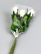 Пакет для цветов, конус, 5+20×35 см, прозрачный - Фото 2