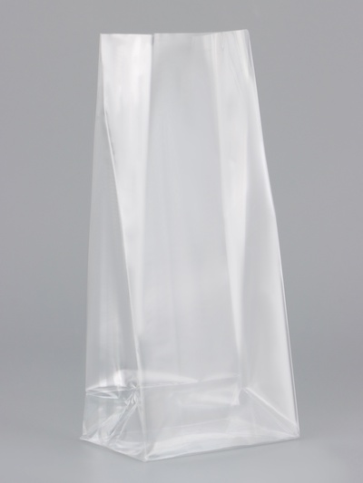 Пакет полипропиленовый фасовочный, прямоугольное дно, прозрачный, 9×5×19 см