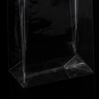 Пакет полипропиленовый фасовочный, прямоугольное дно, прозрачный, 10 х 6 х 28 см - Фото 3