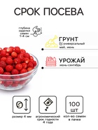 Семена Земляника ремонтантная «Барон Солемахер», 100 шт., «Поиск» - Фото 2