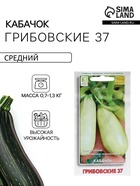 Семена Кабачок «Грибовские 37», 12 шт., «ПОИСК» - Фото 1