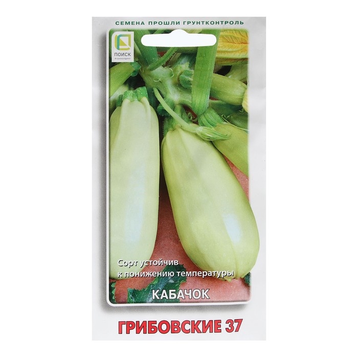 Семена Кабачок «Грибовские 37», 12 шт., «ПОИСК» - Фото 1