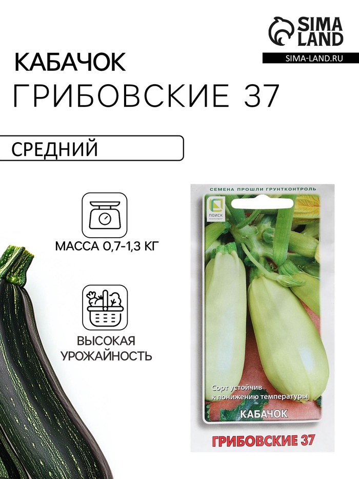 Семена Кабачок «Грибовские 37», 12 шт., «ПОИСК» - Фото 1