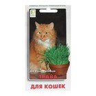 Семена Трава "Для кошек" 10 г - фото 11897965