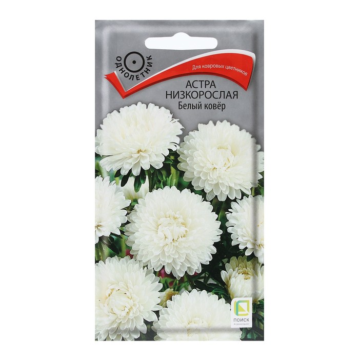 Семена цветов Астра низкорослая "Белый ковер" 0,2 г - Фото 1