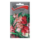 Семена цветов Бальзамин "Том Самб" 0,1 г - Фото 1