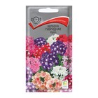 Семена цветов Вербена "гибридная Идеал" 0,2 г - Фото 1