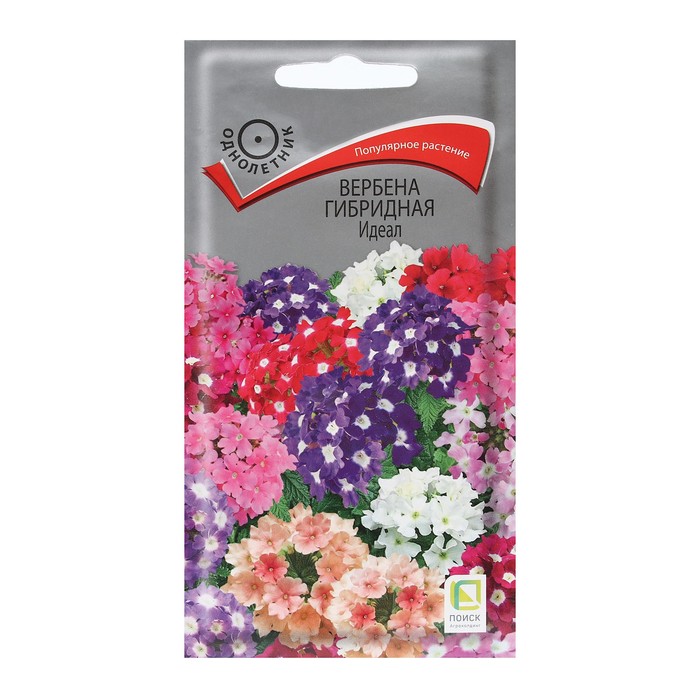 Семена цветов Вербена "гибридная Идеал" 0,2 г - Фото 1