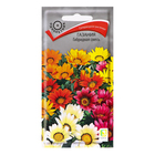 Семена цветов «Газания Гибридная смесь» для балкона, веранды, цветника, однолетник, низкорослая0.25 г - Фото 1