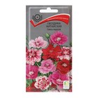 Семена цветов Гвоздика "Китайская Смесь окрасок" 0,25 г - Фото 1
