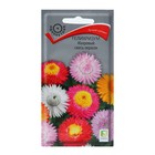 Семена цветов Гелихризум «Махровый смесь окрасок» 0.25 г, «Поиск» - Фото 1