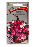 Семена цветов Катарантус ампельный "Медитерранеан Микс" 10 шт - Фото 3