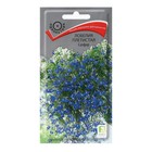 Семена цветов Лобелия плетистая "Сапфир" 0,1 г - Фото 1