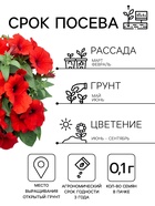 Семена цветов Петуния «Пламя» 0.1 г - Фото 2