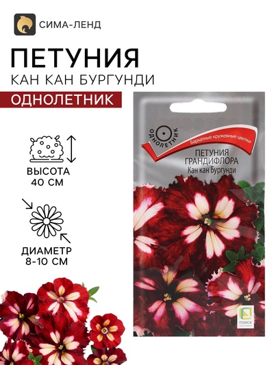 Семена цветов Петуния грандифлора «Кан кан бургунди» 10 шт.