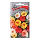Семена цветов "Портулак Смесь окрасок" 0,1 г - Фото 1
