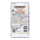 Семена цветов Скабиоза темно-пурпурная "Ледяное сердце" 10 шт - Фото 2