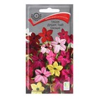 Семена цветов Табак Душистый "Сенсация" 0,25 г - Фото 1