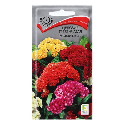 Семена цветов Целозия гребенчатая «Коралловый сад», 0.1 г, «ПОИСК»